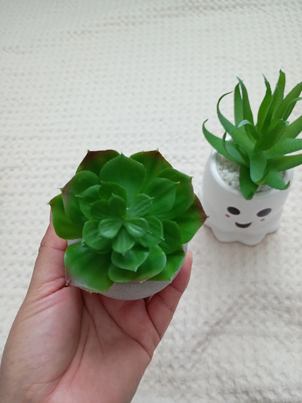 Beetlejuice & Ghost Ceramic Planter – Playful Home Accent